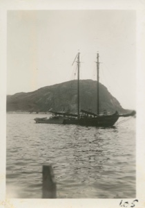 Image: Newfoundland sailing fishing schooner